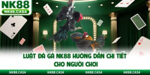 Luật Đá Gà Nk88 Hướng Dẫn Chi Tiết Cho Người Chơi